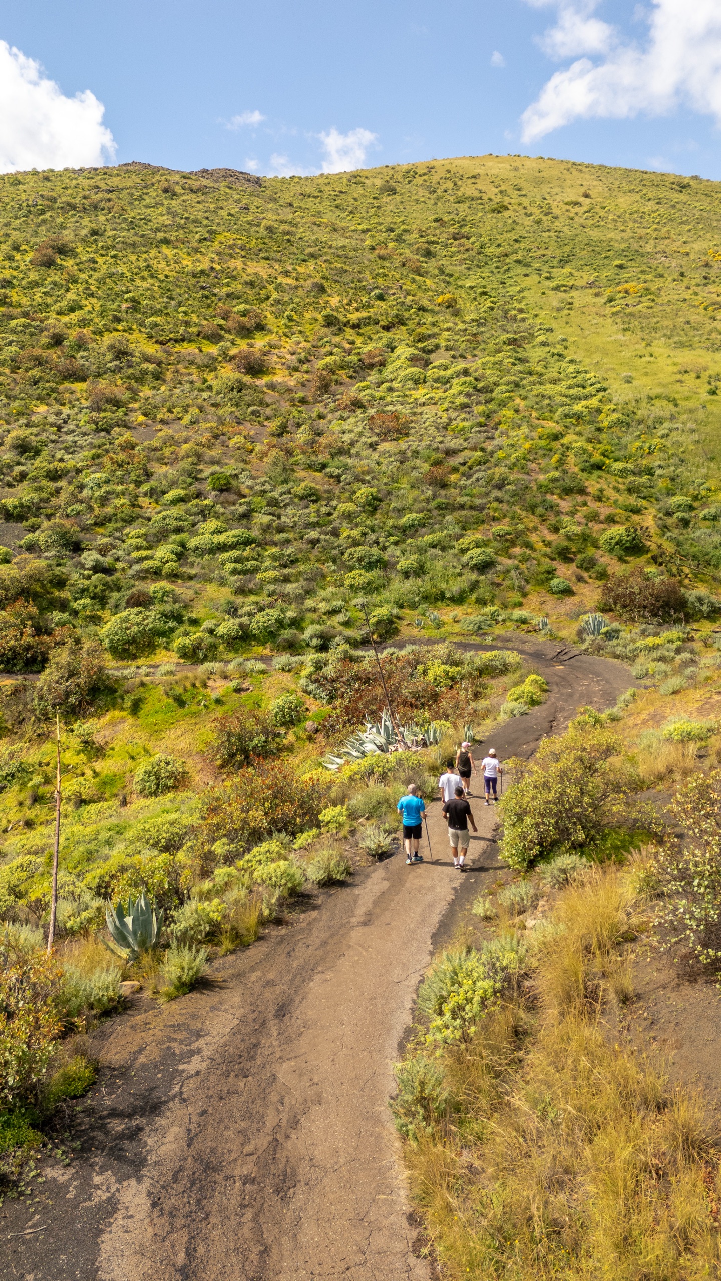 Canyon Deep Dive, Challenging retreat in Barranco Verde
